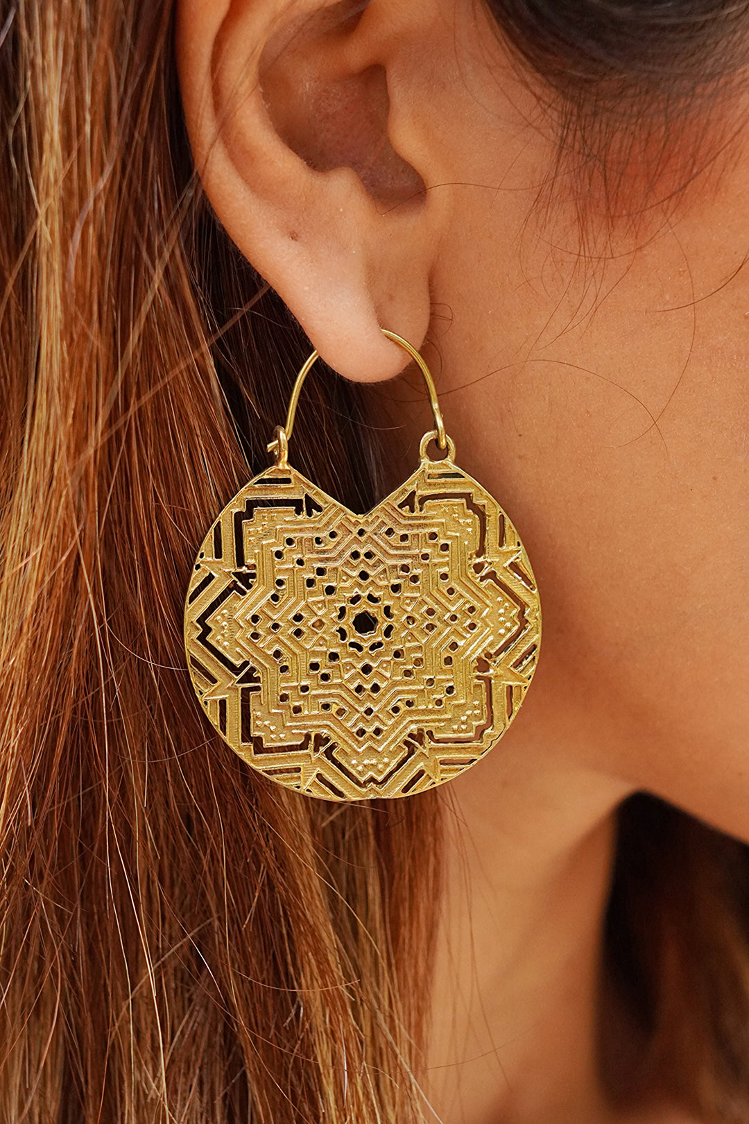 Fractals of Gaia brass earrings ~ Soul Tribe