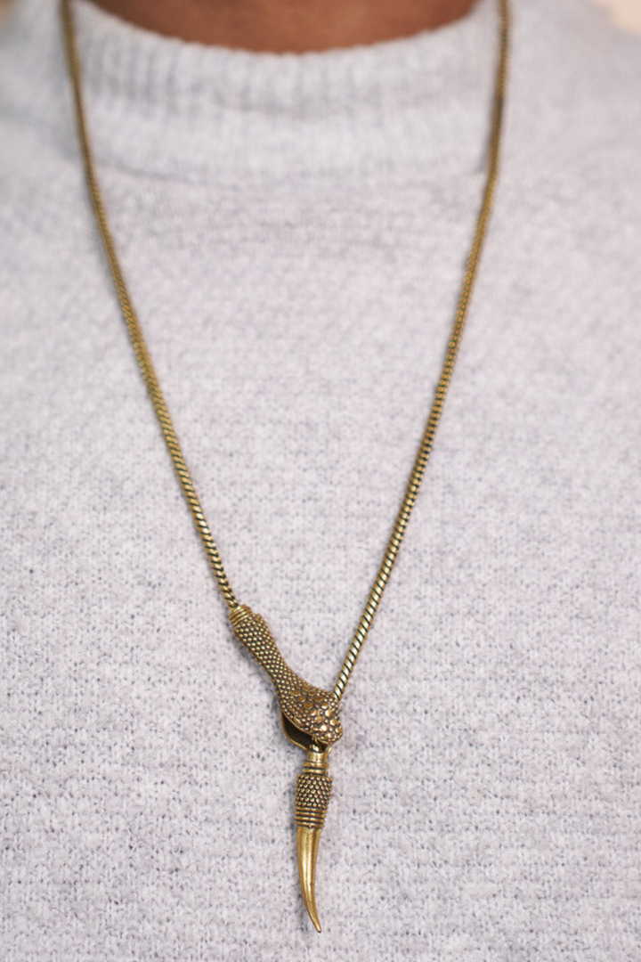 Snake wrap necklae