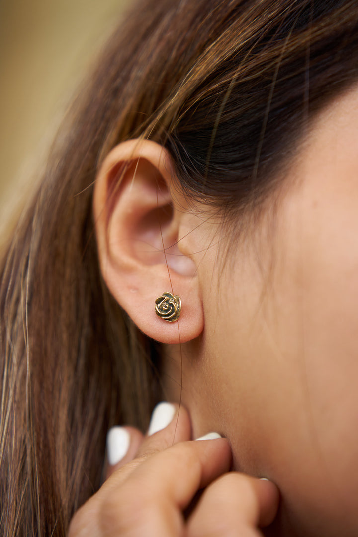 Rose brass studs
