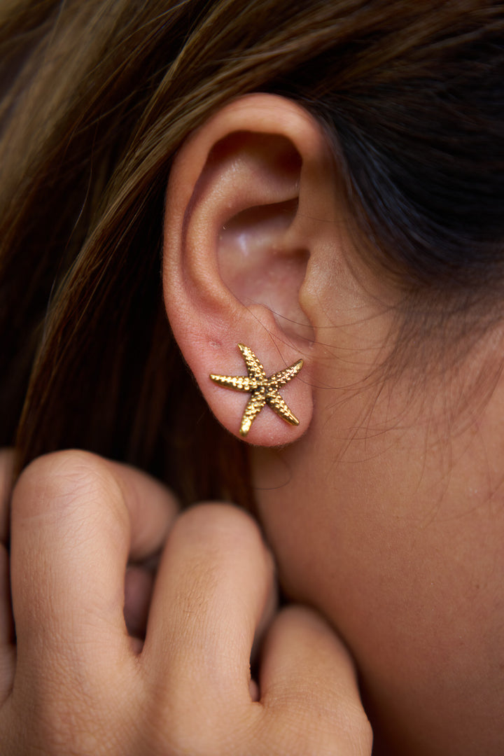 Star fish brass studs