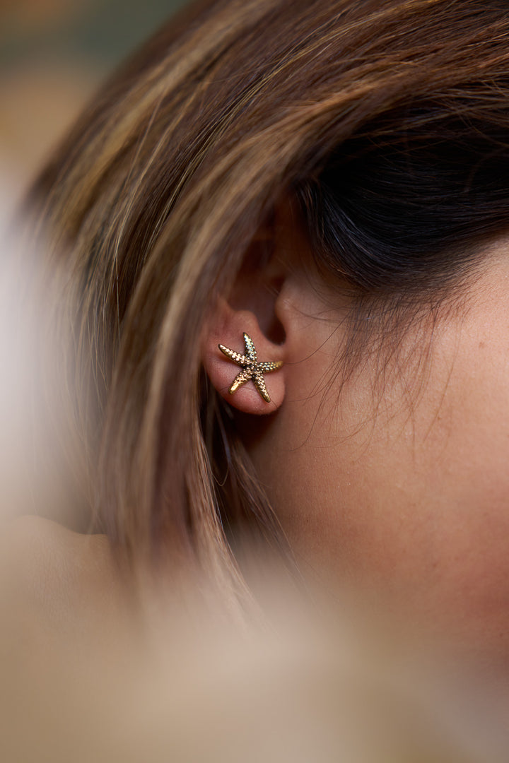 Star fish brass studs