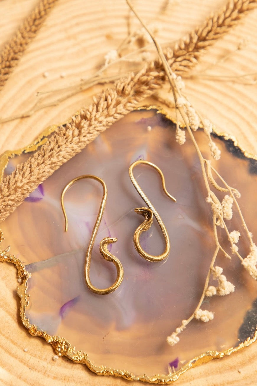 Shivohum brass  hoops