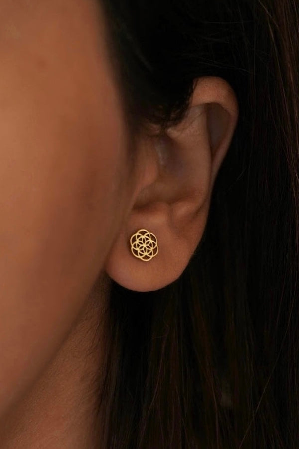 Seed of life brass studs