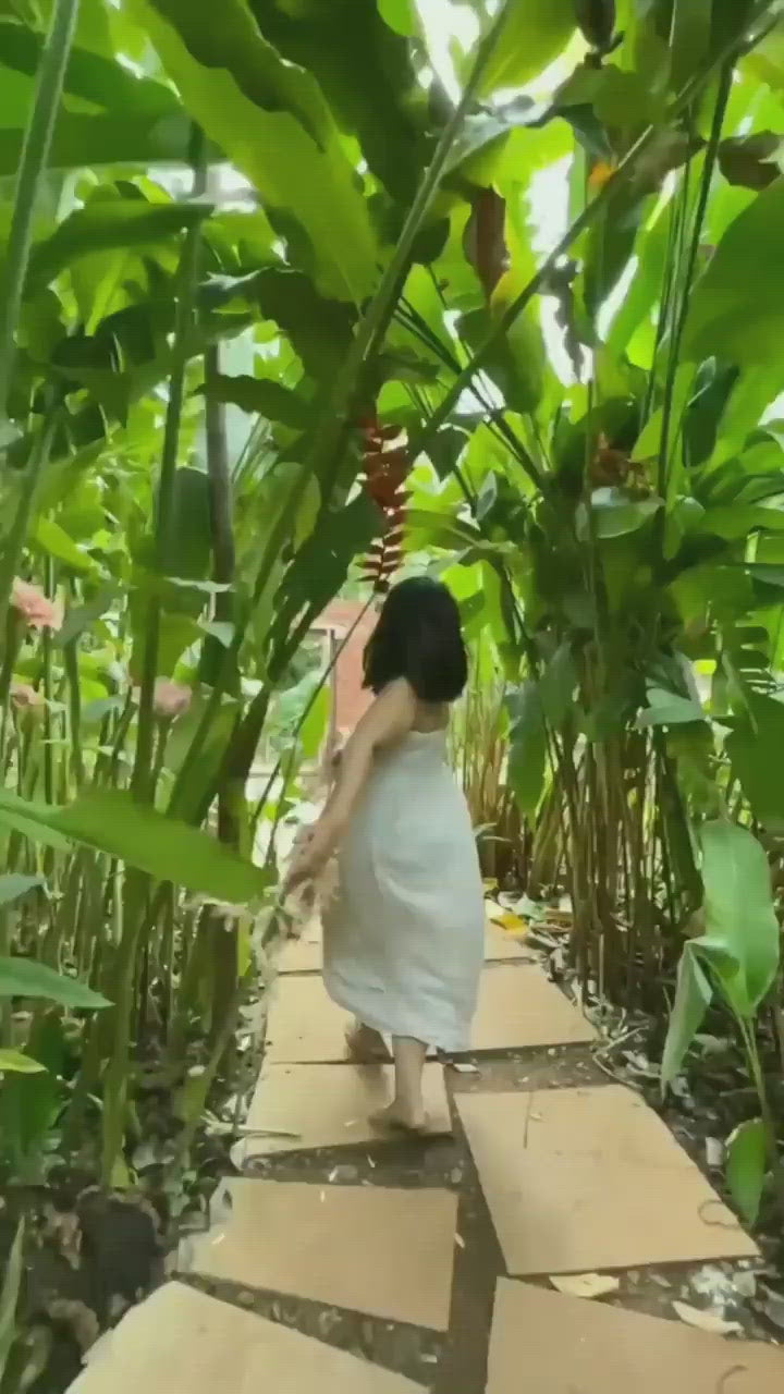 Pink Blossom Tree Of Life Dreamcatcher