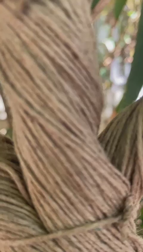 Bodhi Tree Dreamcatcher