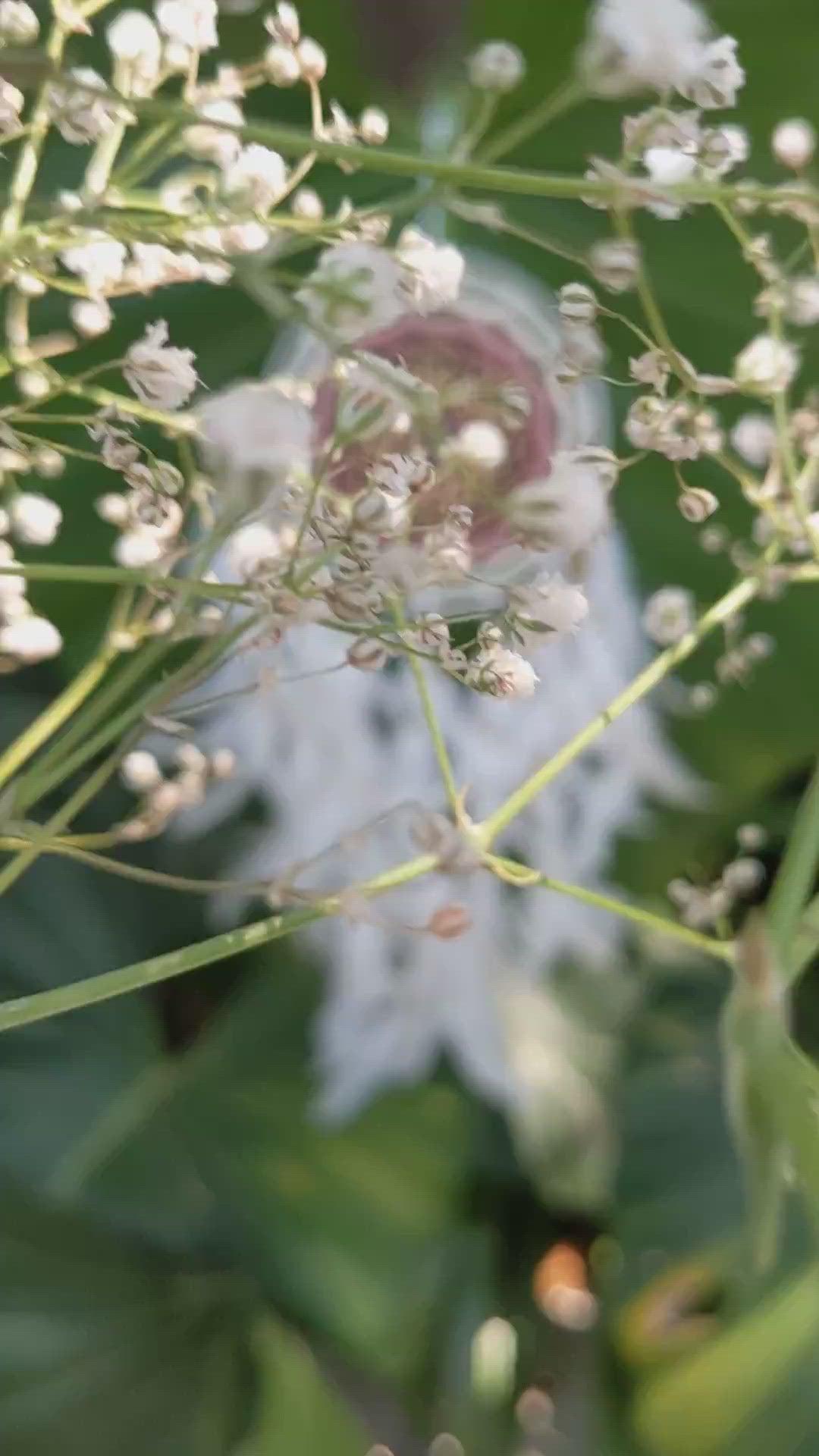 Union of the sky Dreamcatcher