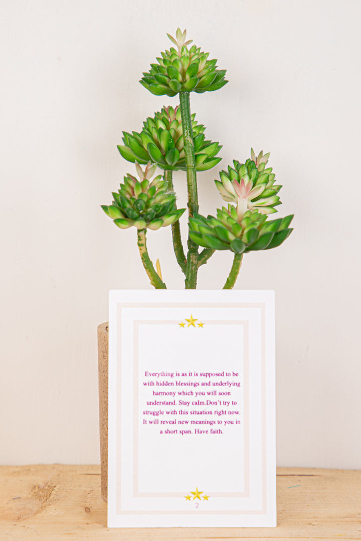 Soul Message Cards