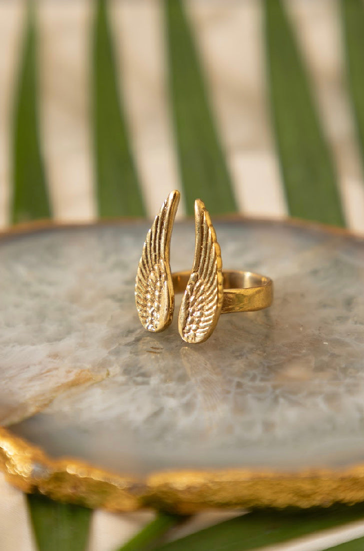 Angle Wing Earrings + Fairy Adjustable Ring Combo (2)