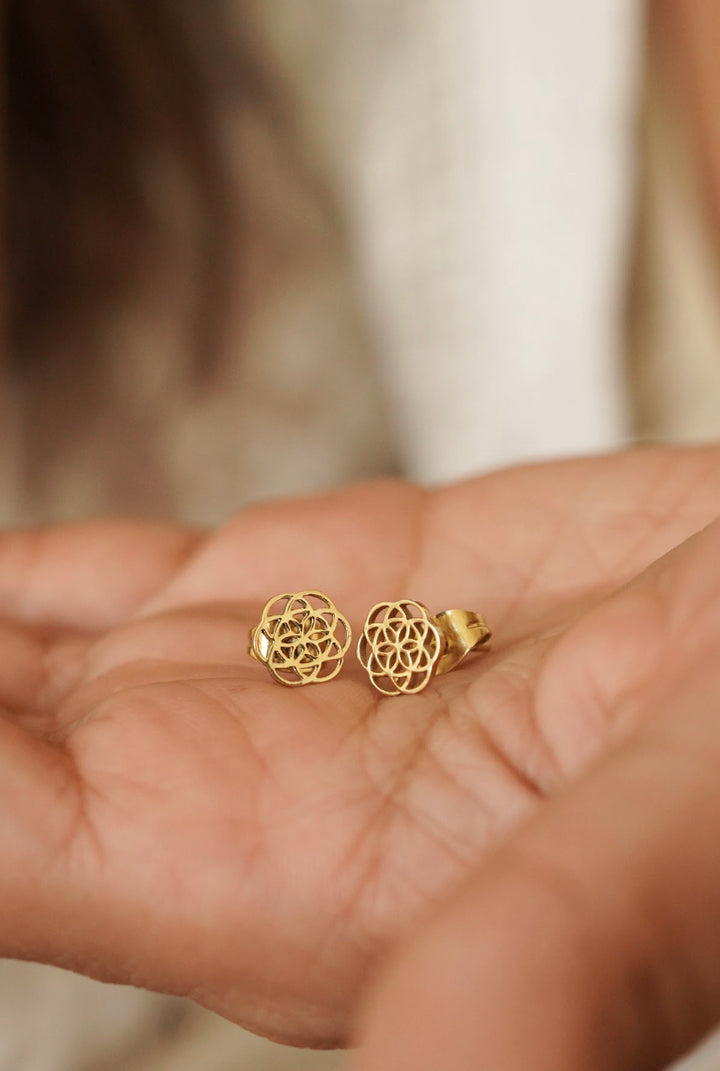 Seed of life brass studs