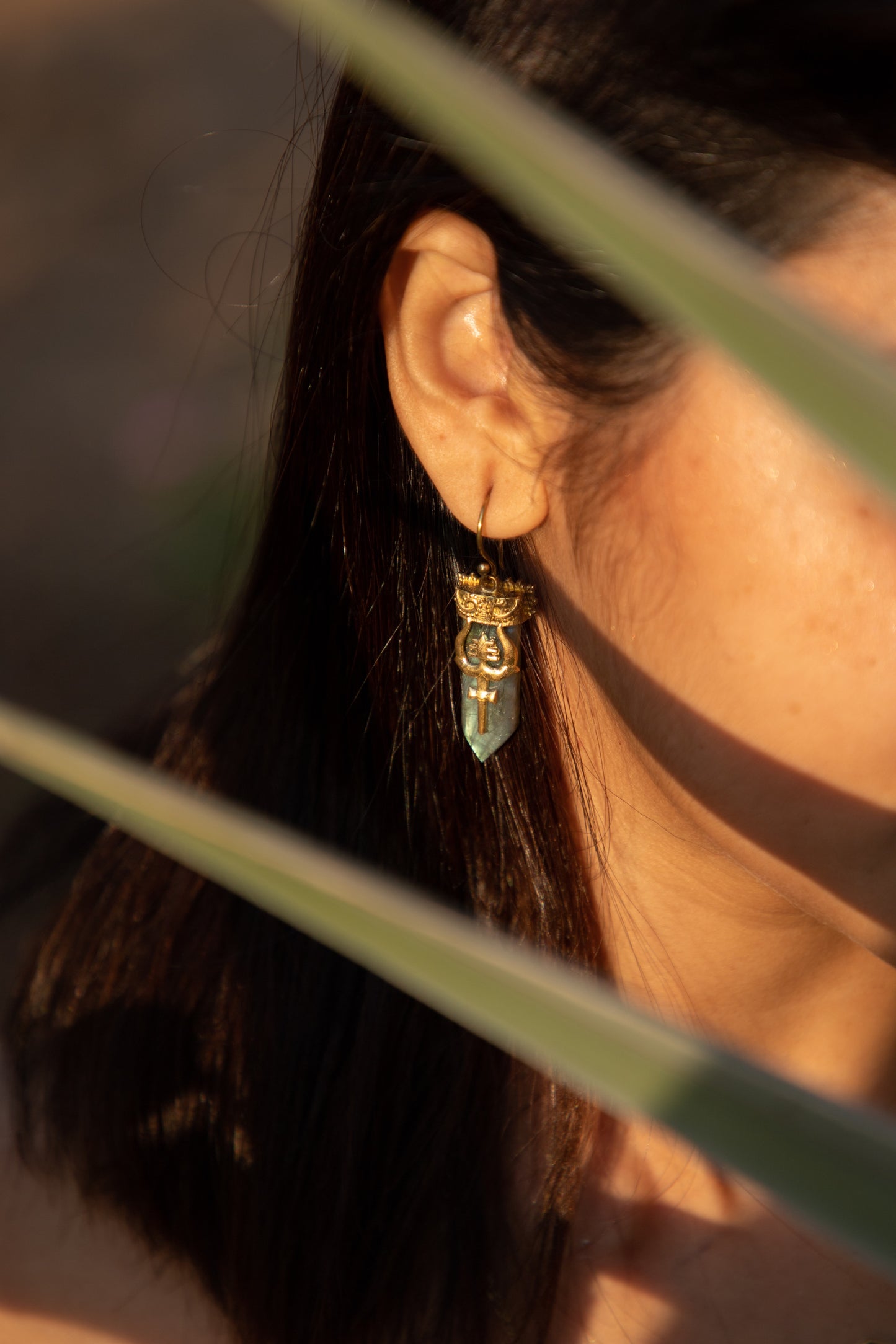 Trishul Labradorite Earrings