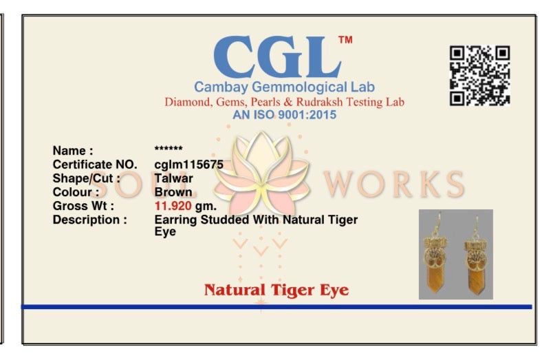 Eye of tiger brass earrings