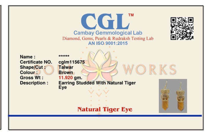 Eye of tiger brass earrings