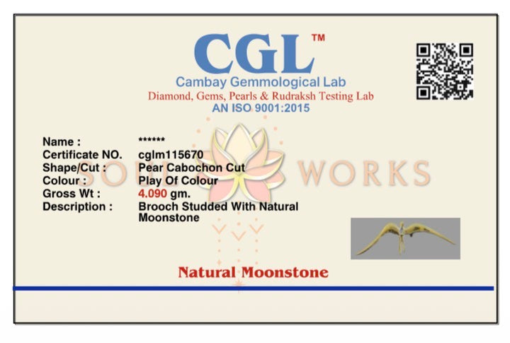 Aazaad parindey brooch pin