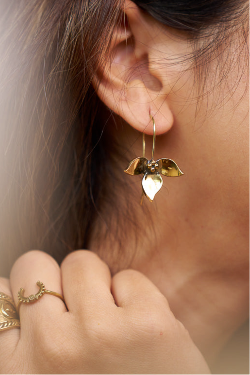 Bougainvillea brass baali