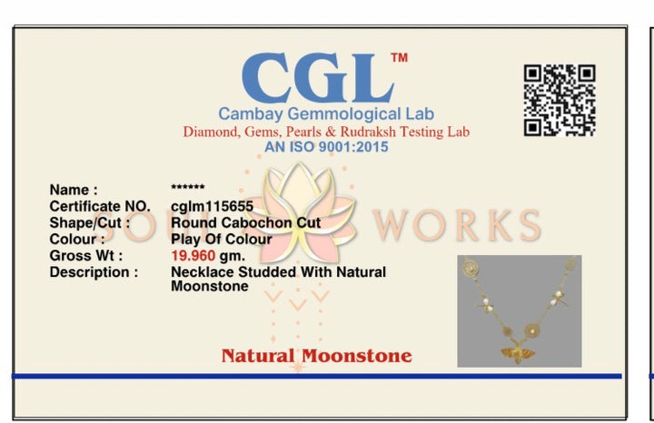 Dragonfly long necklace