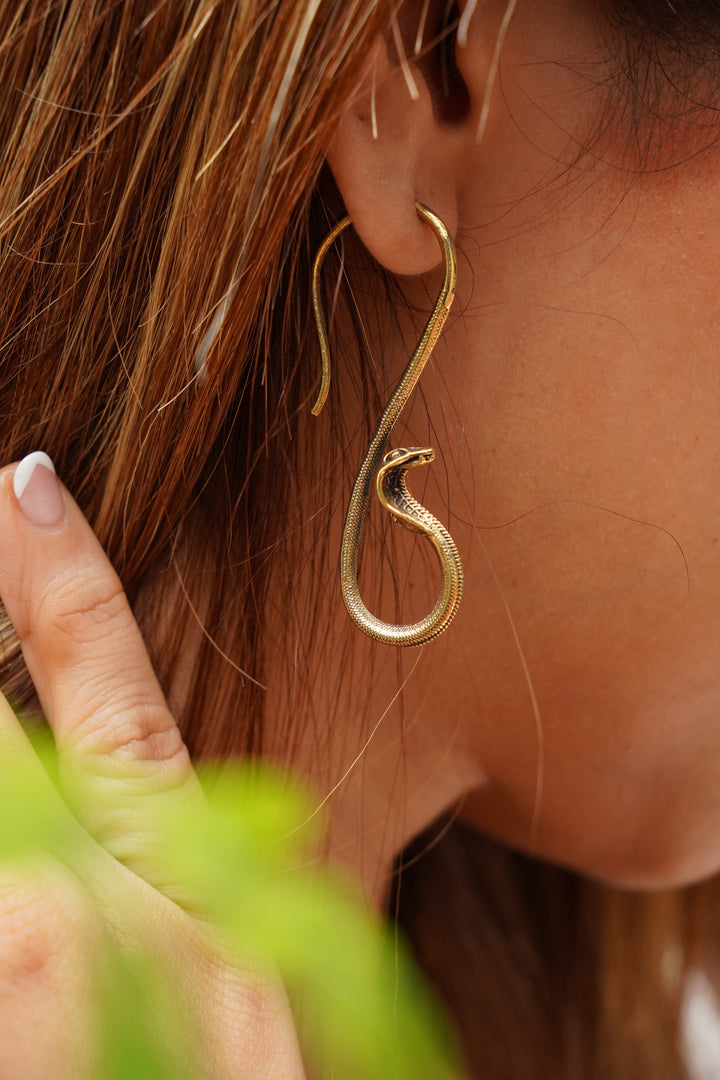 Shivohum brass  hoops