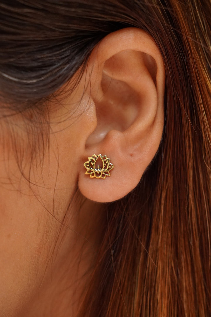 Lotus brass studs gold plated