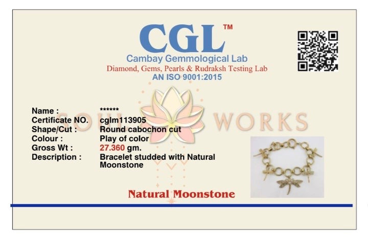 Fly away dragonfly charm bracelet