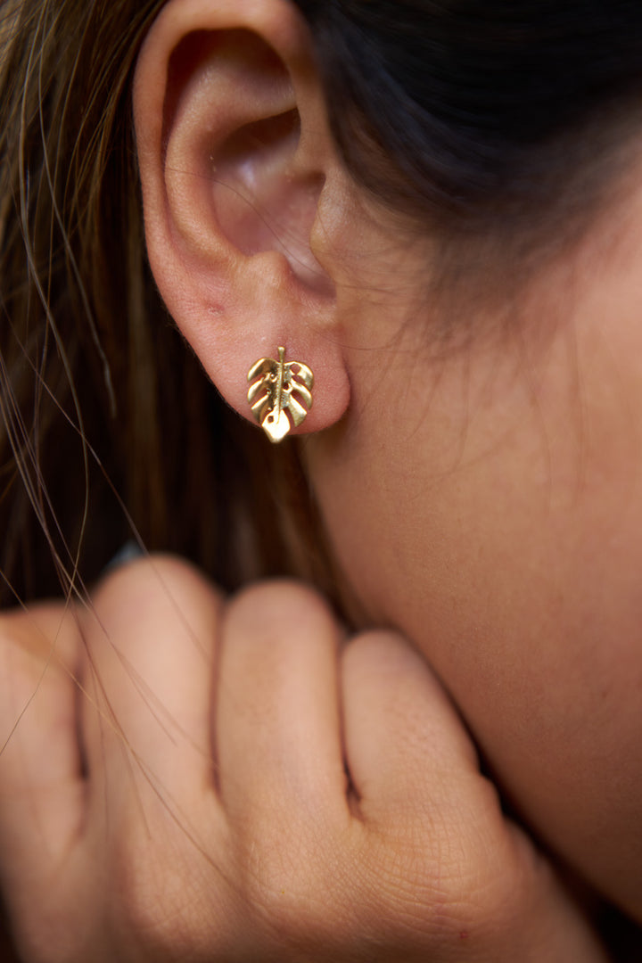 Palm studs