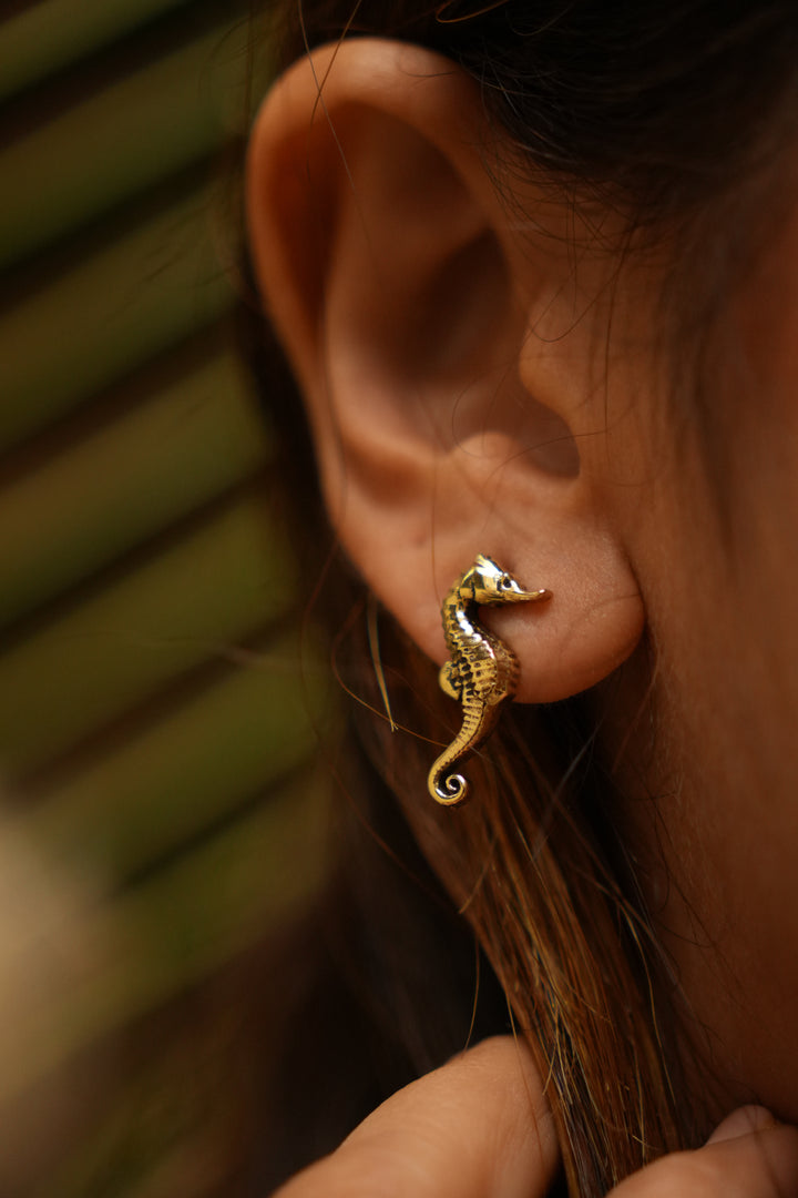 Sea horse studs