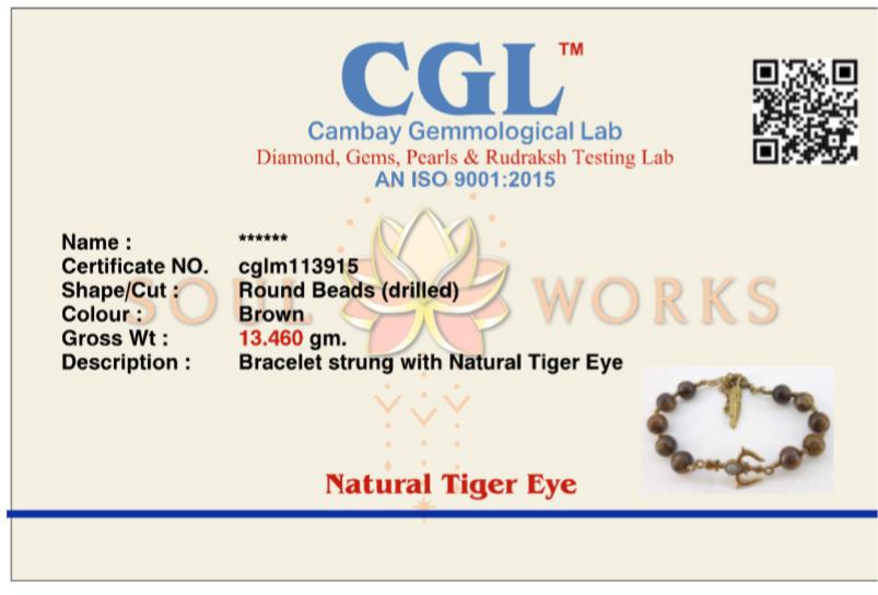 Tiger eye trishul healing bracelet