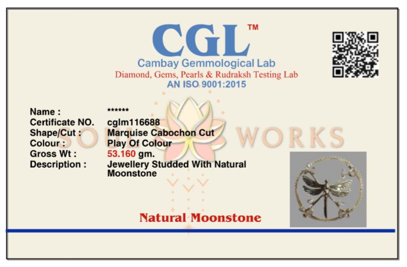 Moonstone dragonfly hair bun + hair scrunchie