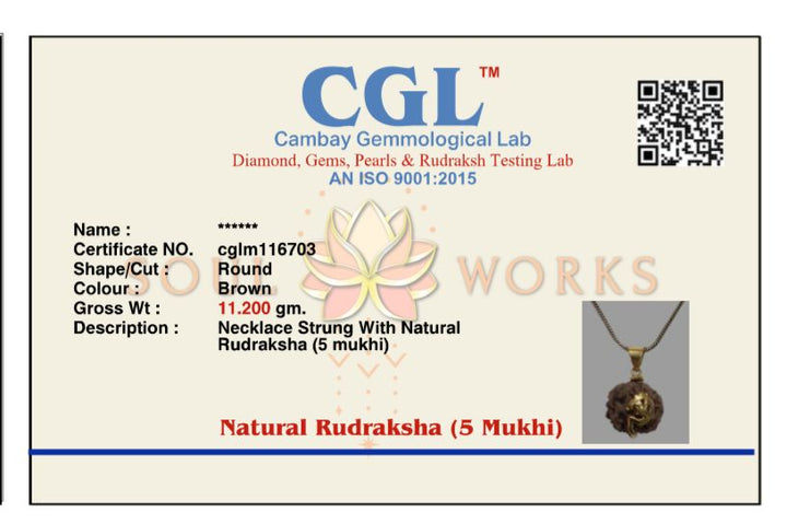 Om Rudraksh pendant with brass chain