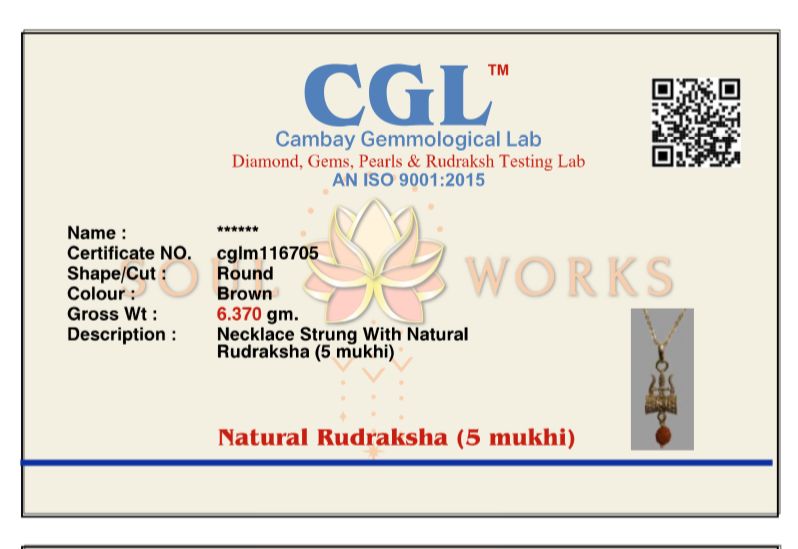 Trishul rudra pendant chain