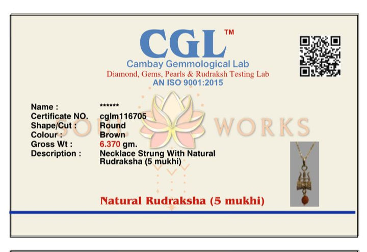 Trishul rudra pendant chain