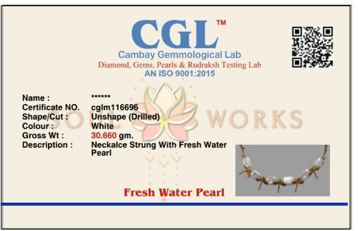 Dragonfly mother of pearl necklace