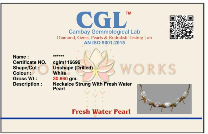 Dragonfly mother of pearl necklace