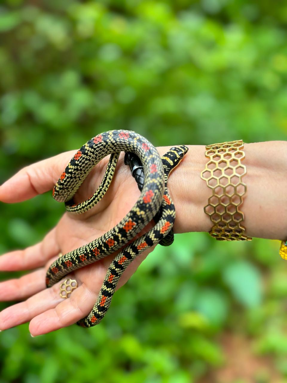 Honey comb bangle