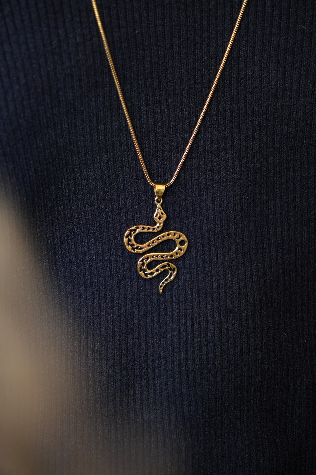 Snake imprinted with moonphase necklace- men’s jewellery