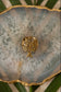 Tree of hope ring